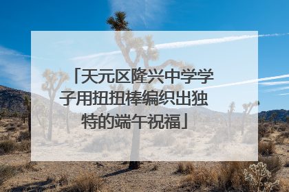 天元区隆兴中学学子用扭扭棒编织出独特的端午祝福