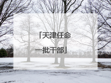 天津任命一批干部