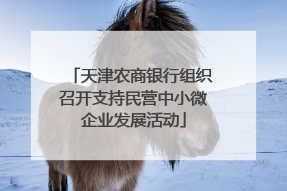 天津农商银行组织召开支持民营中小微企业发展活动