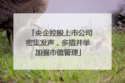 央企控股上市公司密集发声，多措并举加强市值管理