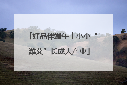 好品伴端午丨小小“潍艾”长成大产业
