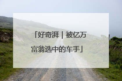好奇湃｜被亿万富翁选中的车手