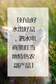 好山好水出好品，泗水电商紧盯当地特色农副产品