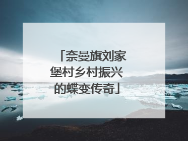 奈曼旗刘家堡村乡村振兴的蝶变传奇