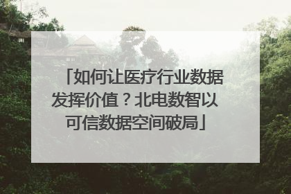 如何让医疗行业数据发挥价值？北电数智以可信数据空间破局