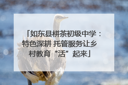 如东县栟茶初级中学：特色深耕 托管服务让乡村教育“活”起来