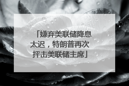 嫌弃美联储降息太迟，特朗普再次抨击美联储主席