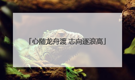 心随龙舟渡 志向逐浪高