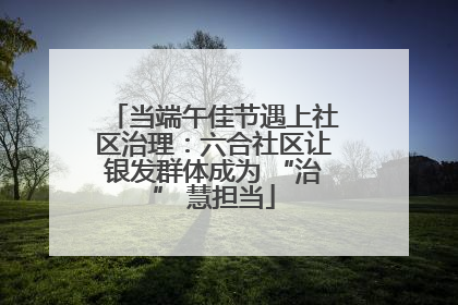 当端午佳节遇上社区治理：六合社区让银发群体成为 “治” 慧担当