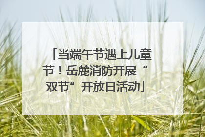当端午节遇上儿童节！岳麓消防开展“双节”开放日活动