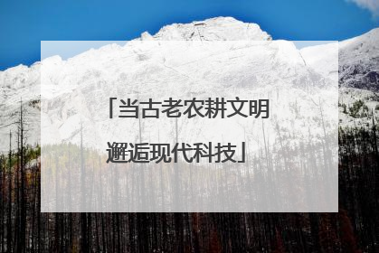 当古老农耕文明邂逅现代科技