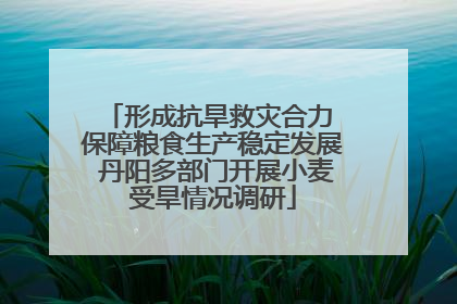 形成抗旱救灾合力 保障粮食生产稳定发展 丹阳多部门开展小麦受旱情况调研