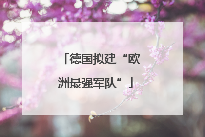 德国拟建“欧洲最强军队”