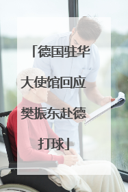 德国驻华大使馆回应樊振东赴德打球