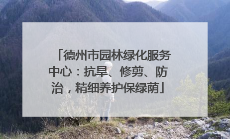 德州市园林绿化服务中心：抗旱、修剪、防治，精细养护保绿荫
