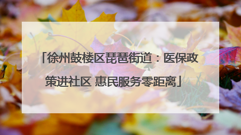 徐州鼓楼区琵琶街道：医保政策进社区 惠民服务零距离