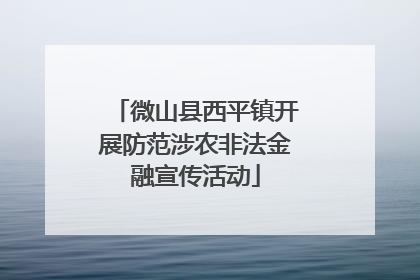 微山县西平镇开展防范涉农非法金融宣传活动