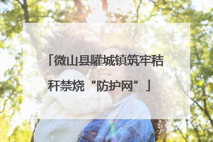 微山县驩城镇筑牢秸秆禁烧“防护网”