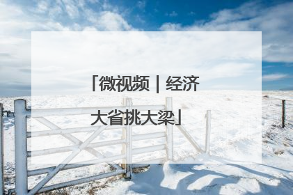 微视频｜经济大省挑大梁