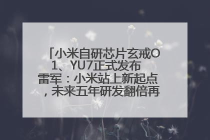 小米自研芯片玄戒O1、YU7正式发布 雷军：小米站上新起点，未来五年研发翻倍再投2000亿元