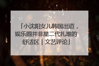 小沈阳女儿韩国出道，娱乐圈并非星二代扎堆的舒适区｜文艺评论