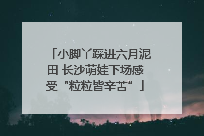 小脚丫踩进六月泥田 长沙萌娃下场感受“粒粒皆辛苦”