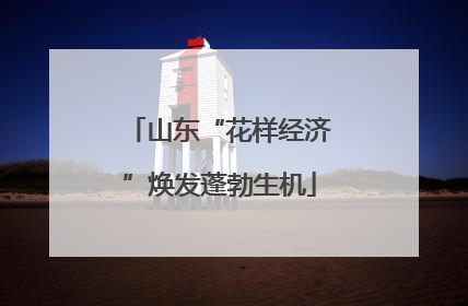 山东“花样经济”焕发蓬勃生机