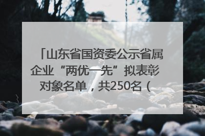 山东省国资委公示省属企业“两优一先”拟表彰对象名单，共250名（个）党员和党组织