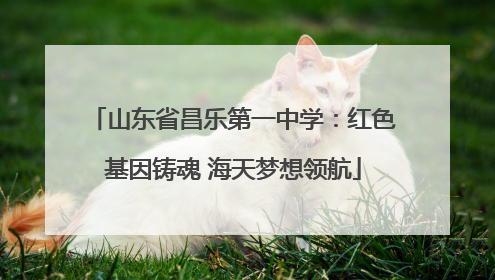 山东省昌乐第一中学：红色基因铸魂 海天梦想领航