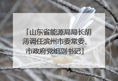 山东省能源局局长胡薄调任滨州市委常委、市政府党组副书记