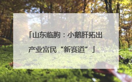 山东临朐：小鹅肝拓出产业富民“新赛道”