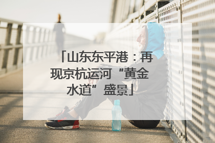 山东东平港：再现京杭运河“黄金水道”盛景