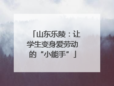 山东乐陵：让学生变身爱劳动的“小能手”