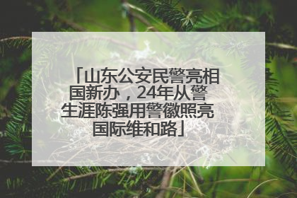 山东公安民警亮相国新办，24年从警生涯陈强用警徽照亮国际维和路