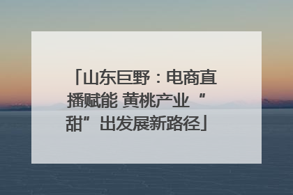 山东巨野：电商直播赋能 黄桃产业“甜”出发展新路径
