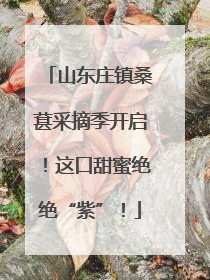 山东庄镇桑葚采摘季开启！这口甜蜜绝绝“紫”！