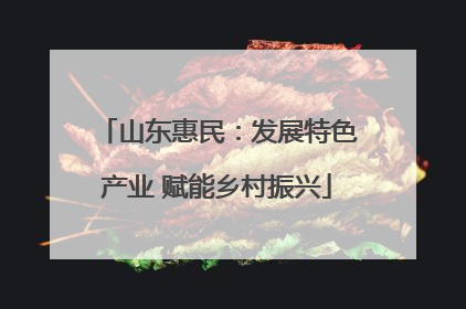 山东惠民：发展特色产业 赋能乡村振兴
