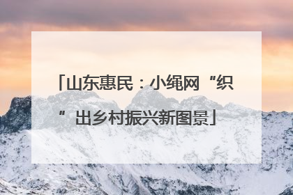 山东惠民：小绳网“织”出乡村振兴新图景