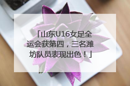 山东U16女足全运会获第四，三名潍坊队员表现出色！