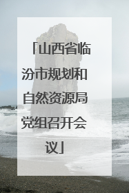山西省临汾市规划和自然资源局党组召开会议