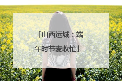 山西运城：端午时节麦收忙