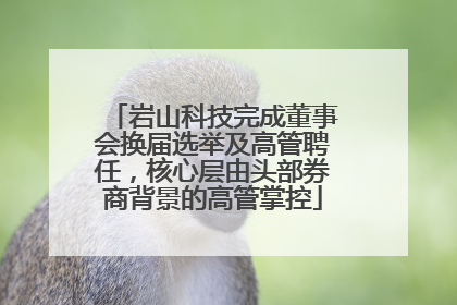岩山科技完成董事会换届选举及高管聘任，核心层由头部券商背景的高管掌控