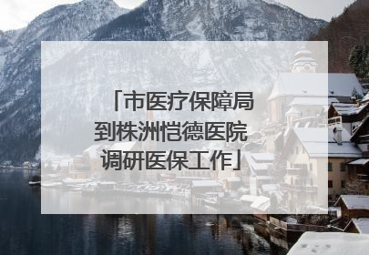 市医疗保障局到株洲恺德医院调研医保工作