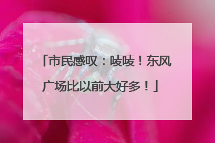 市民感叹：唛唛！东风广场比以前大好多！