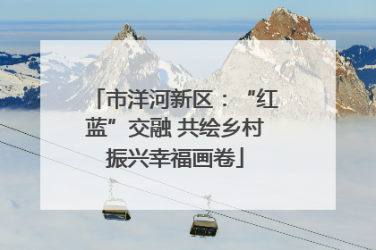 市洋河新区：“红蓝”交融 共绘乡村振兴幸福画卷