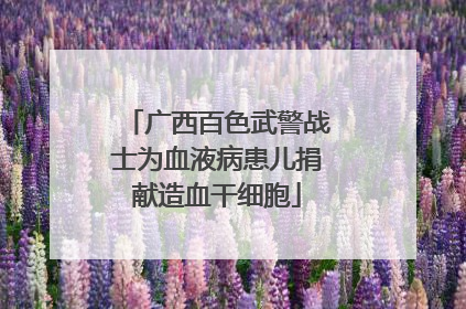 广西百色武警战士为血液病患儿捐献造血干细胞