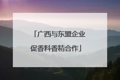 广西与东盟企业促香料香精合作