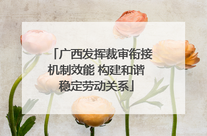 广西发挥裁审衔接机制效能 构建和谐稳定劳动关系