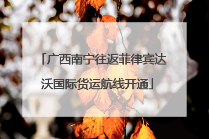 广西南宁往返菲律宾达沃国际货运航线开通