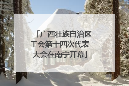 广西壮族自治区工会第十四次代表大会在南宁开幕